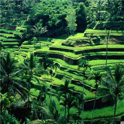 cq9电子游戏app截图